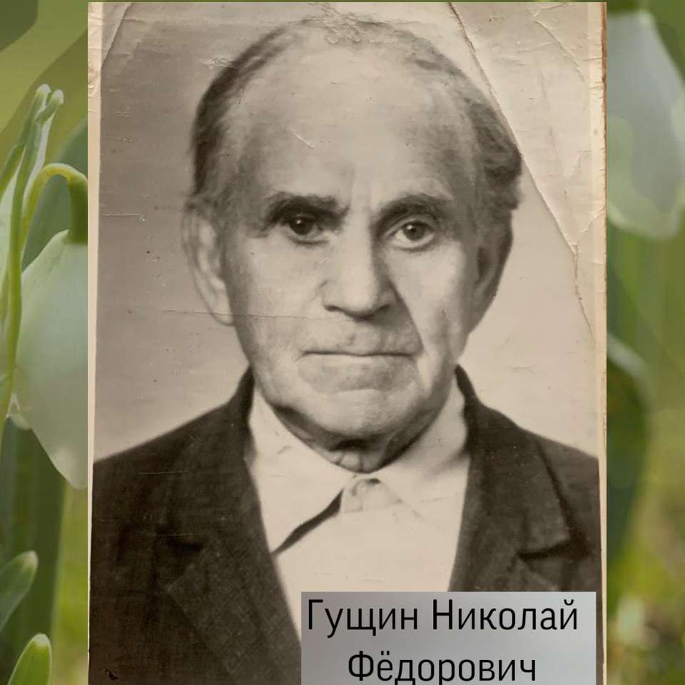 Гущин Николай Федорович (Абрамкин Егор)