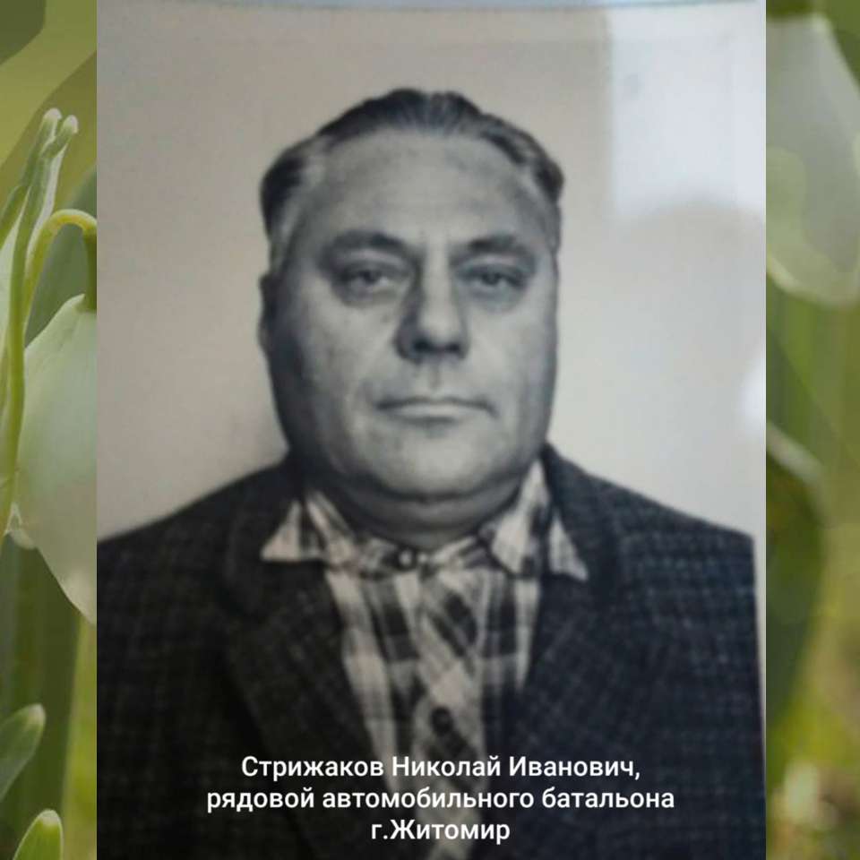 Стрижаков Николай Иванович (Калинин Егор)